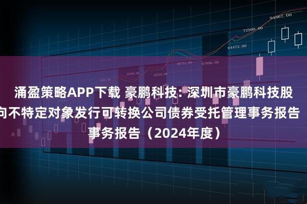 涌盈策略APP下载 豪鹏科技: 深圳市豪鹏科技股份有限公司向不特定对象发行可转换公司债券受托管理事务报告（2024年度）