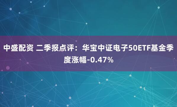 中盛配资 二季报点评：华宝中证电子50ETF基金季度涨幅-0.47%